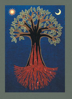 Cards Mother Root Detail