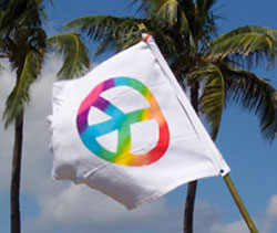 Flags Rainbow Flag Detail