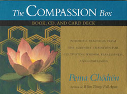 The Compassion Box by Pema Chodron Detail